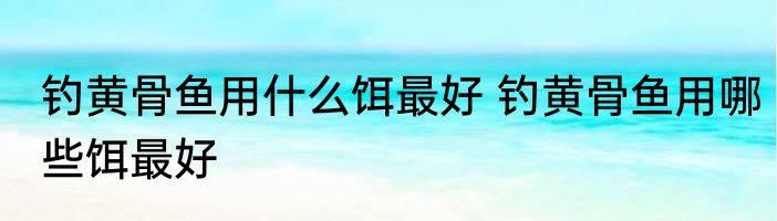 钓黄骨鱼用什么饵最好 钓黄骨鱼用哪些饵最好