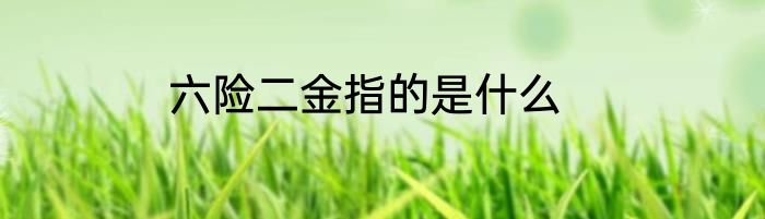 六险二金指的是什么