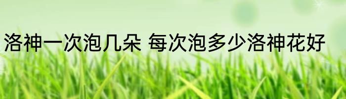 洛神一次泡几朵 每次泡多少洛神花好