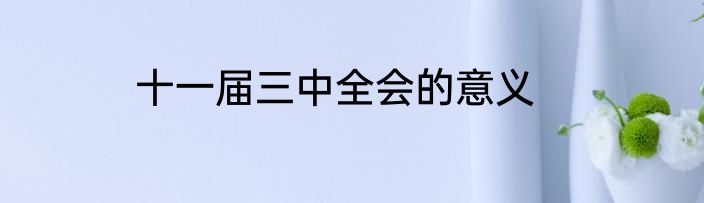 十一届三中全会的意义