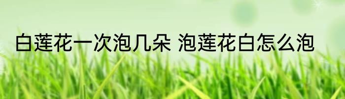 白莲花一次泡几朵 泡莲花白怎么泡