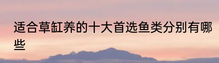 适合草缸养的十大首选鱼类分别有哪些