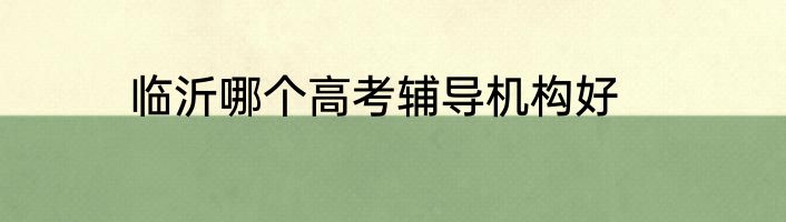 临沂哪个高考辅导机构好