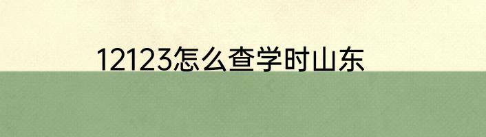 12123怎么查学时山东