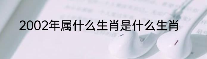 2002年属什么生肖是什么生肖