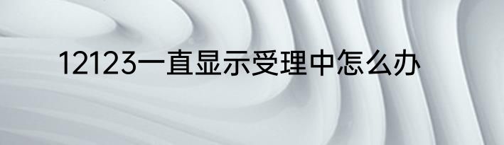 12123一直显示受理中怎么办