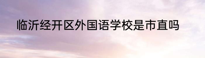 临沂经开区外国语学校是市直吗