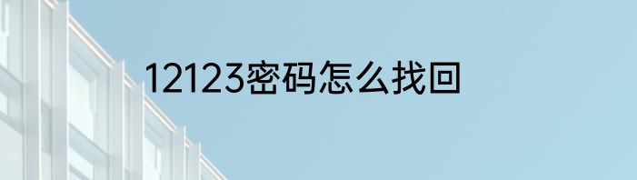 12123密码怎么找回
