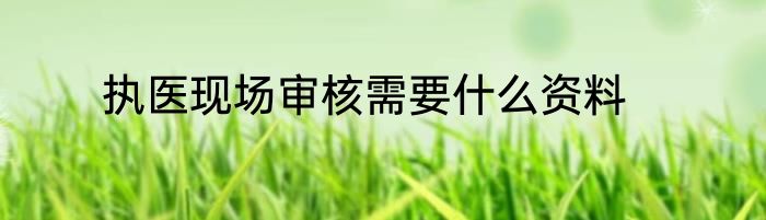 执医现场审核需要什么资料