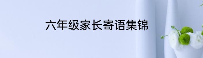 六年级家长寄语集锦
