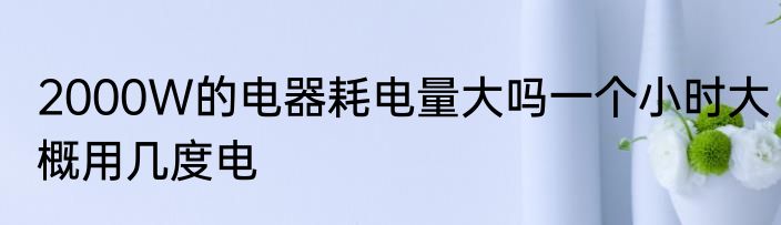 2000W的电器耗电量大吗一个小时大概用几度电