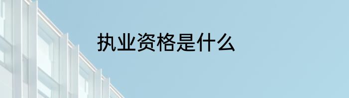 执业资格是什么