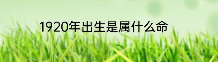 1920年出生是属什么命