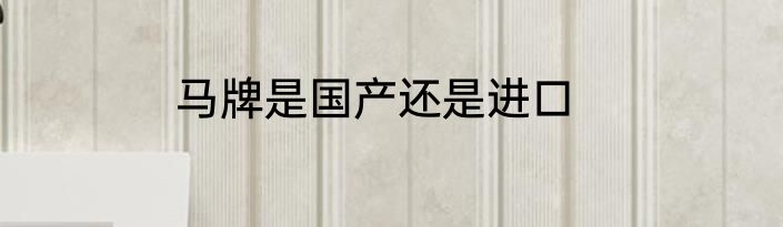 马牌是国产还是进口