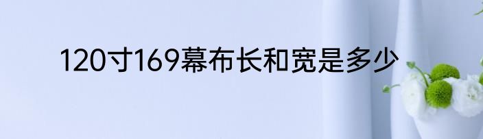 120寸169幕布长和宽是多少