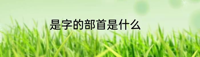 是字的部首是什么