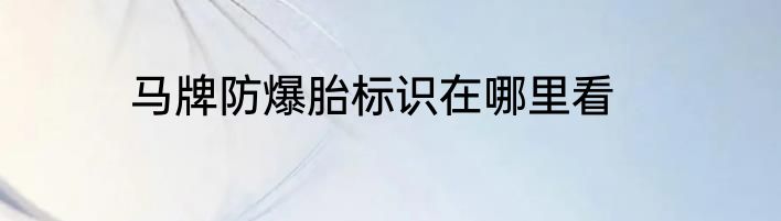 马牌防爆胎标识在哪里看