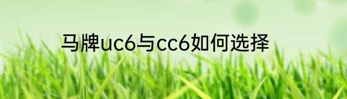 马牌uc6与cc6如何选择