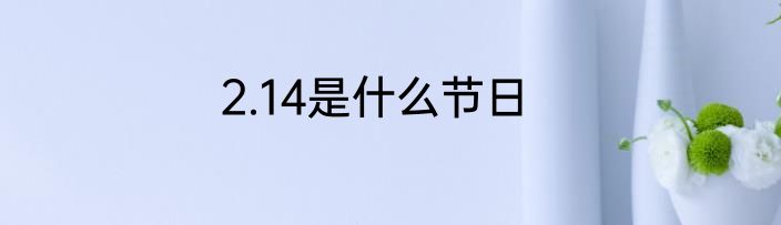 2.14是什么节日