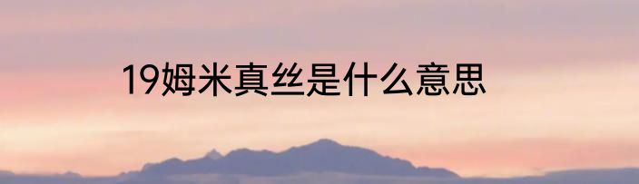 19姆米真丝是什么意思
