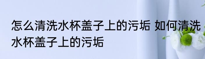 怎么清洗水杯盖子上的污垢 如何清洗水杯盖子上的污垢