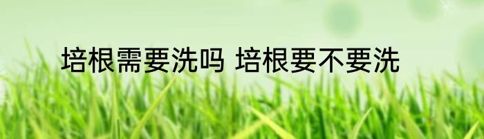 培根需要洗吗 培根要不要洗