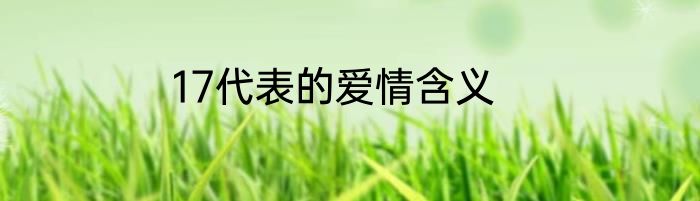 17代表的爱情含义