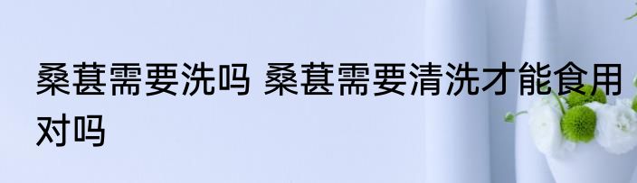 桑葚需要洗吗 桑葚需要清洗才能食用对吗