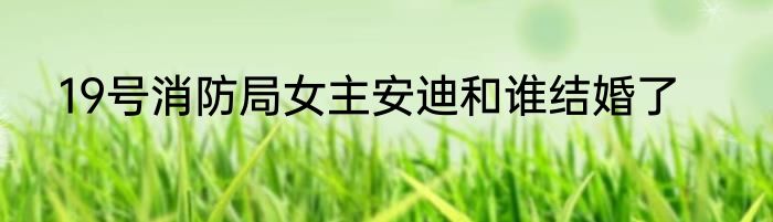 19号消防局女主安迪和谁结婚了