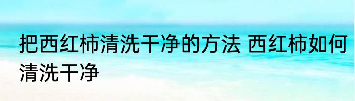 把西红柿清洗干净的方法 西红柿如何清洗干净