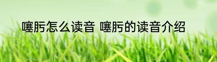 噻肟怎么读音 噻肟的读音介绍
