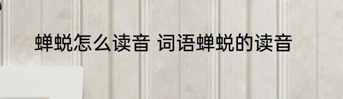 蝉蜕怎么读音 词语蝉蜕的读音