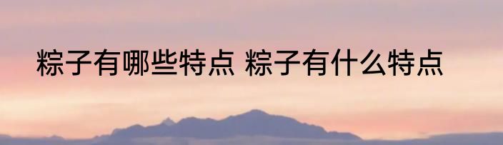 粽子有哪些特点 粽子有什么特点