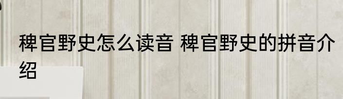 稗官野史怎么读音 稗官野史的拼音介绍