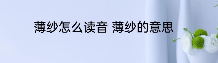 薄纱怎么读音 薄纱的意思