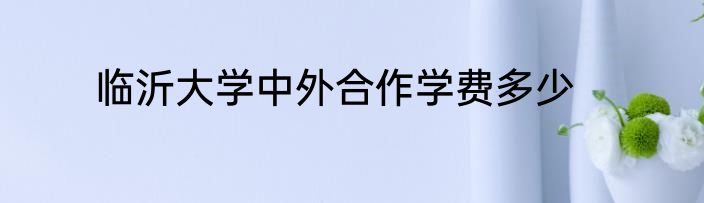 临沂大学中外合作学费多少