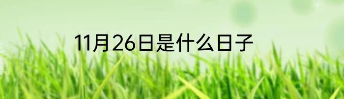 11月26日是什么日子
