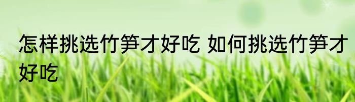 怎样挑选竹笋才好吃 如何挑选竹笋才好吃
