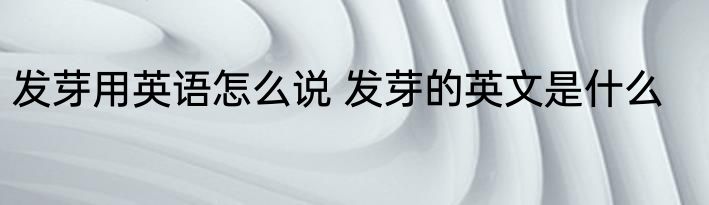 发芽用英语怎么说 发芽的英文是什么