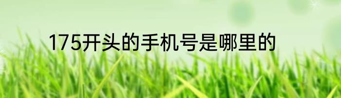 175开头的手机号是哪里的