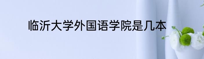 临沂大学外国语学院是几本