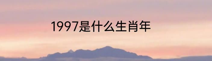 1997是什么生肖年