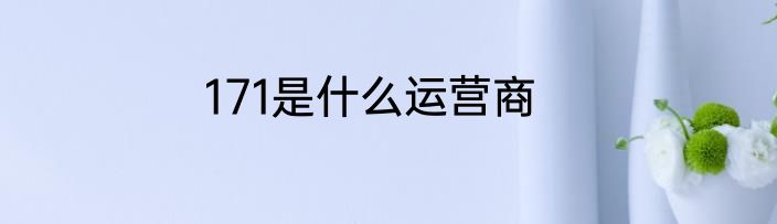171是什么运营商