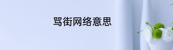 骂街网络意思