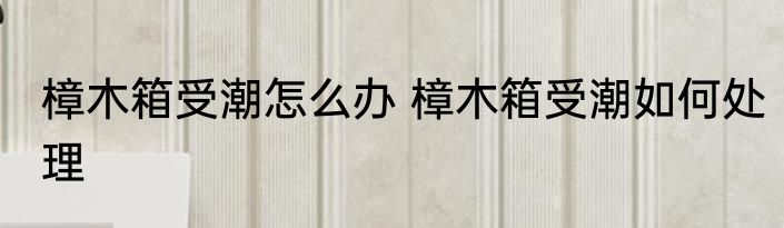 樟木箱受潮怎么办 樟木箱受潮如何处理