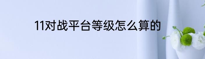 11对战平台等级怎么算的