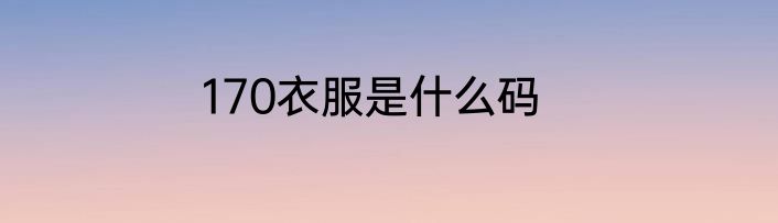 170衣服是什么码