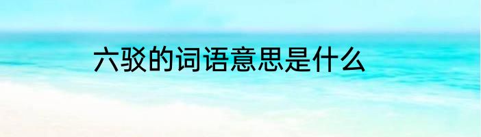 六驳的词语意思是什么