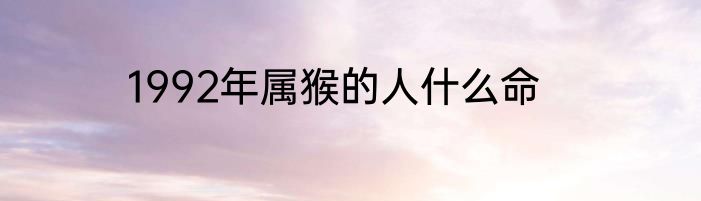 1992年属猴的人什么命
