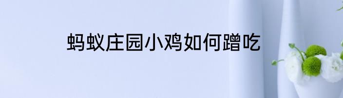 蚂蚁庄园小鸡如何蹭吃